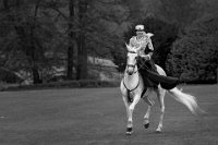 Side-saddle Finesse <div